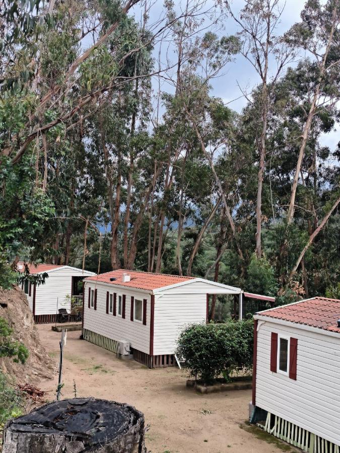 Mira Monti Location Hotell Belvedere-Campomoro Eksteriør bilde